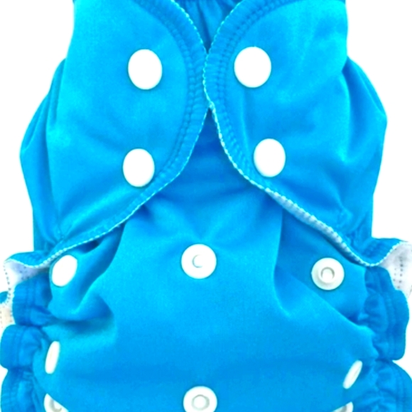 Apple Cheeks Cloth Diaper Set - Picture 2 of 16